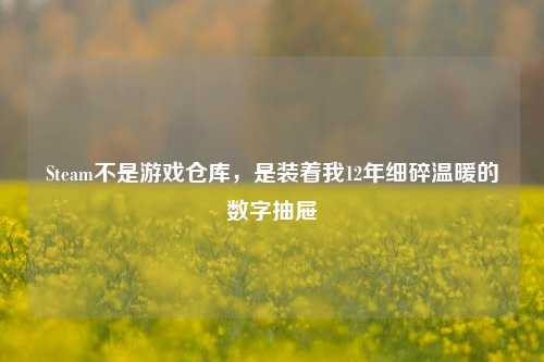 Steam不是游戏仓库,是装着我12年细碎温暖的数字抽屉