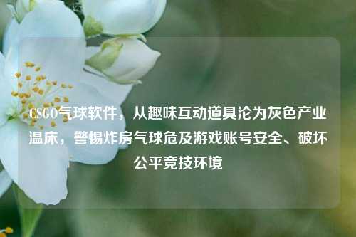 CSGO气球软件,从趣味互动道具沦为灰色产业温床,警惕炸房气球危及游戏账号安全、破坏公平竞技环境