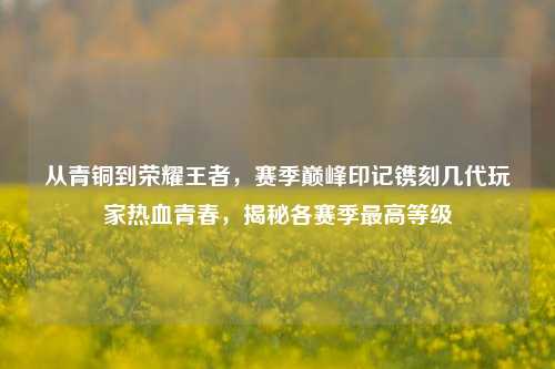 从青铜到荣耀王者,赛季巅峰印记镌刻几代玩家热血青春,揭秘各赛季最高等级