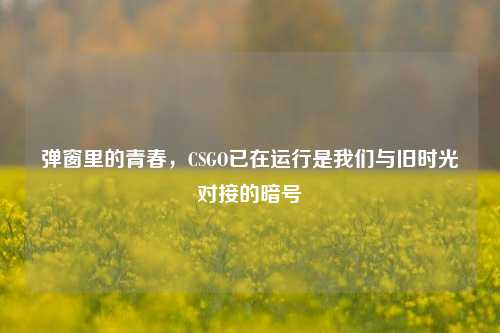 弹窗里的青春,CSGO已在运行是我们与旧时光对接的暗号
