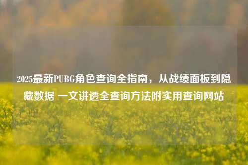 2025最新PUBG角色查询全指南,从战绩面板到隐藏数据 一文讲透全查询方法附实用查询网站
