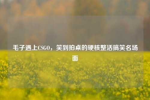 毛子遇上CSGO，笑到拍桌的硬核整活搞笑名场面