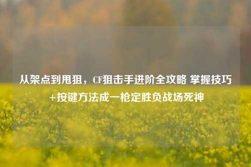 从架点到甩狙，CF狙击手进阶全攻略 掌握技巧+按键方法成一枪定胜负战场死神