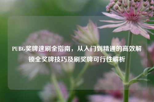 PUBG奖牌速刷全指南,从入门到精通的高效解锁全奖牌技巧及刷奖牌可行性解析