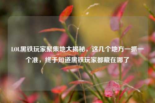 LOL黑铁玩家聚集地大揭秘,这几个地方一抓一个准,终于知道黑铁玩家都藏在哪了