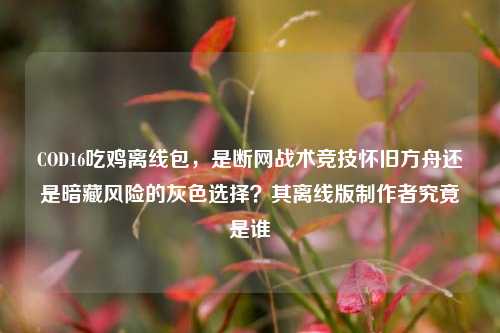 COD16吃鸡离线包，是断网战术竞技怀旧方舟还是暗藏风险的灰色选择？其离线版制作者究竟是谁
