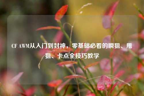 CF AWM从入门到封神,零基础必看的瞬狙、甩狙、卡点全技巧教学