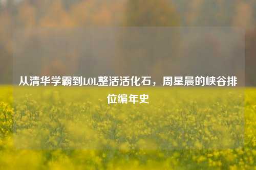 从清华学霸到LOL整活活化石,周星晨的峡谷排位编年史
