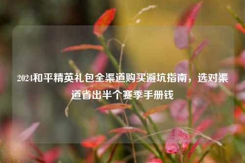 2024和平精英礼包全渠道购买避坑指南，选对渠道省出半个赛季手册钱