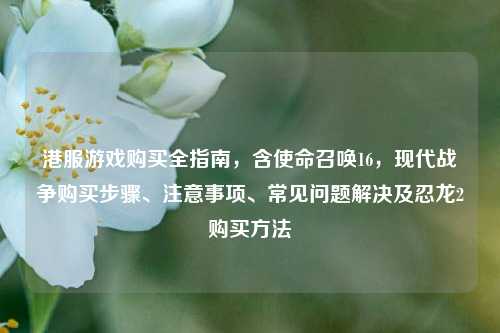 港服游戏购买全指南,含使命召唤16,现代战争购买步骤、注意事项、常见问题解决及忍龙2购买方法