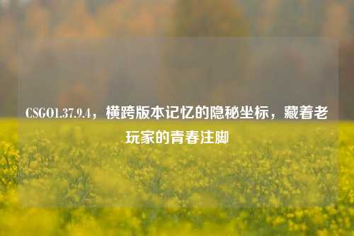 CSGO1.37.9.4，横跨版本记忆的隐秘坐标，藏着老玩家的青春注脚