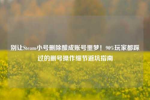 别让Steam小号删除酿成账号噩梦!90%玩家都踩过的删号操作细节避坑指南