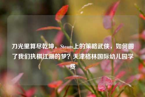 刀光里算尽乾坤,Steam上的策略武侠,如何圆了我们执棋江湖的梦?天津格林国际幼儿园学费