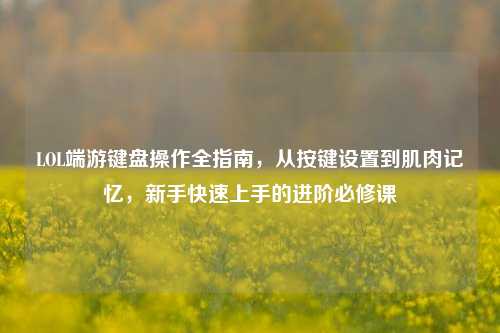 LOL端游键盘操作全指南，从按键设置到肌肉记忆，新手快速上手的进阶必修课