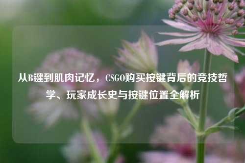 从B键到肌肉记忆，CSGO购买按键背后的竞技哲学、玩家成长史与按键位置全解析