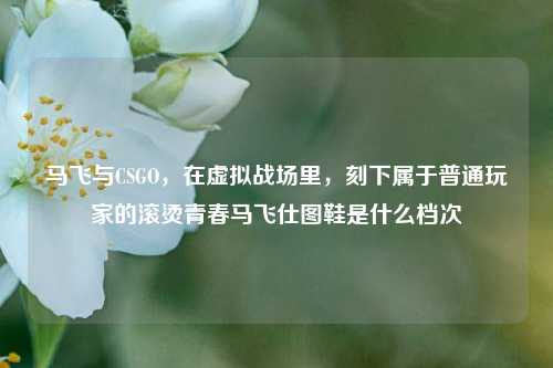 马飞与CSGO,在虚拟战场里,刻下属于普通玩家的滚烫青春马飞仕图鞋是什么档次
