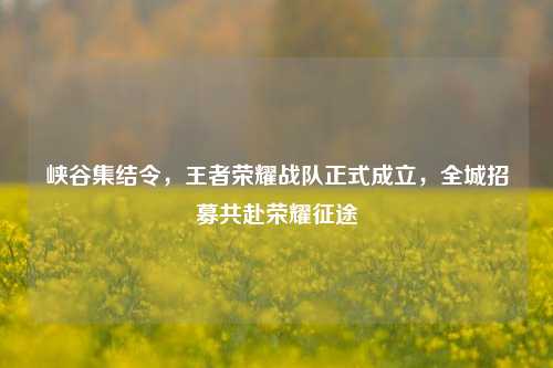 峡谷集结令,王者荣耀战队正式成立,全城招募共赴荣耀征途