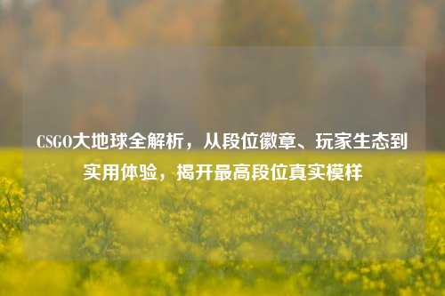 CSGO大地球全解析，从段位徽章、玩家生态到实用体验，揭开最高段位真实模样