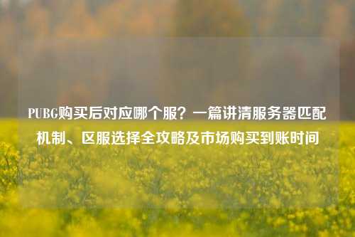 PUBG购买后对应哪个服?一篇讲清服务器匹配机制、区服选择全攻略及市场购买到账时间
