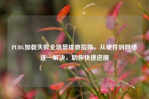 PUBG加载失败全场景排查指南,从硬件到网络逐一解决,助你快速进圈