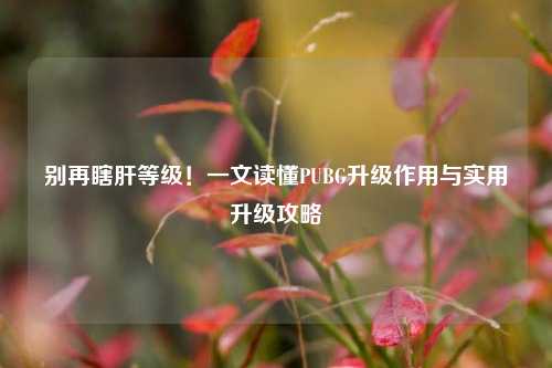 别再瞎肝等级!一文读懂PUBG升级作用与实用升级攻略