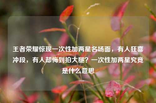 王者荣耀惊现一次性加两星名场面,有人狂喜冲段,有人却悔到拍大腿?一次性加两星究竟是什么意思
