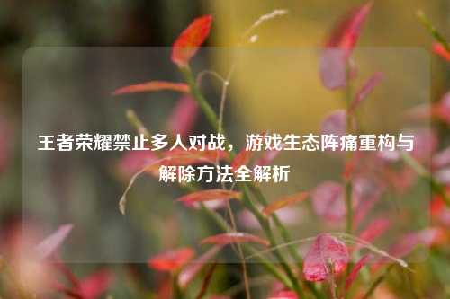 王者荣耀禁止多人对战,游戏生态阵痛重构与解除方法全解析