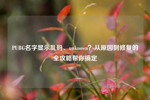 PUBG名字显示乱码、unknown？从原因到修复的全攻略帮你搞定