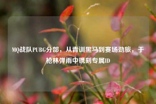 MQ战队PUBG分部,从青训黑马到赛场劲旅,于枪林弹雨中镌刻专属ID