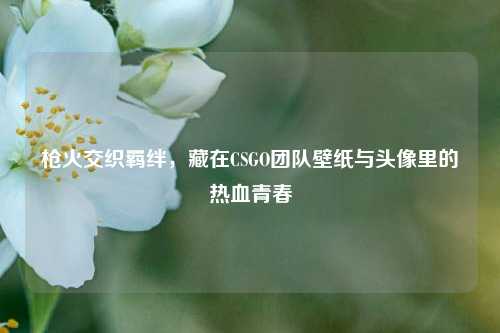 枪火交织羁绊,藏在CSGO团队壁纸与头像里的热血青春