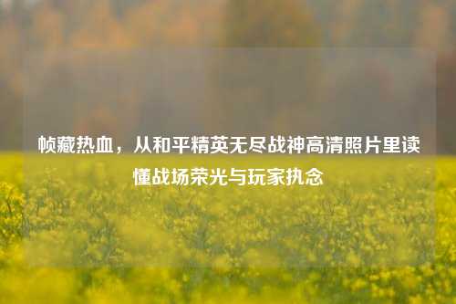 帧藏热血,从和平精英无尽战神高清照片里读懂战场荣光与玩家执念