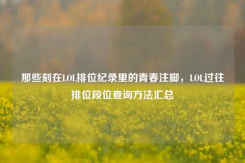 那些刻在LOL排位纪录里的青春注脚,LOL过往排位段位查询方法汇总