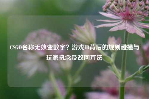 CSGO名称无效变数字？游戏ID背后的规则碰撞与玩家执念及改回方法