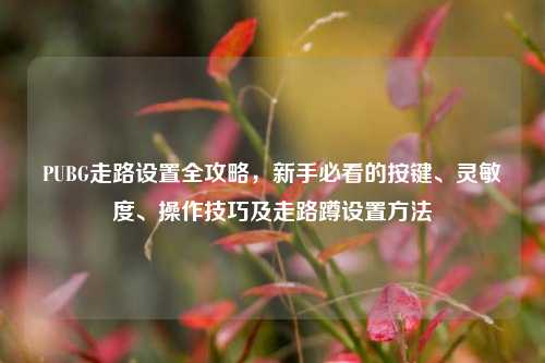 PUBG走路设置全攻略,新手必看的按键、灵敏度、操作技巧及走路蹲设置方法