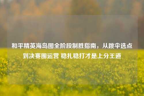 和平精英海岛图全阶段制胜指南,从跳伞选点到决赛圈运营 稳扎稳打才是上分王道