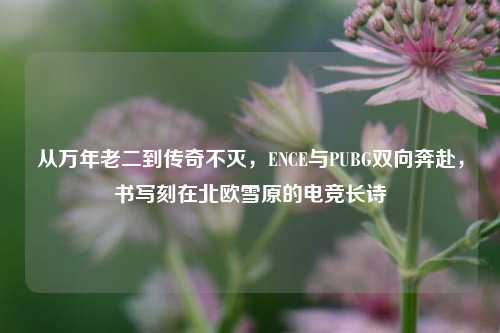 从万年老二到传奇不灭,ENCE与PUBG双向奔赴,书写刻在北欧雪原的电竞长诗