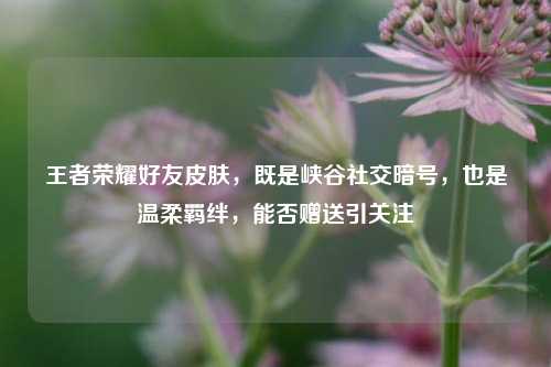 王者荣耀好友皮肤,既是峡谷社交暗号,也是温柔羁绊,能否赠送引关注