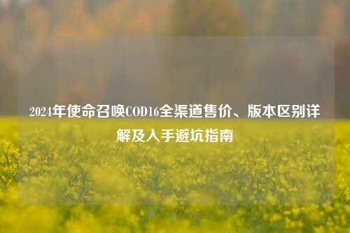 2024年使命召唤COD16全渠道售价、版本区别详解及入手避坑指南
