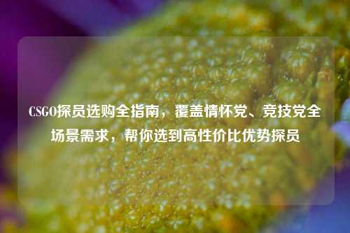 CSGO探员选购全指南,覆盖情怀党、竞技党全场景需求,帮你选到高性价比优势探员