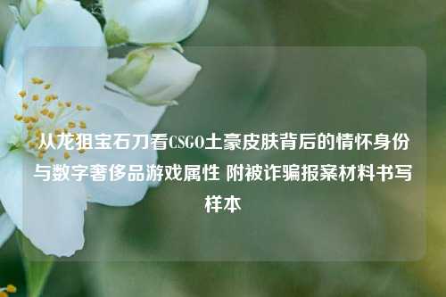 从龙狙宝石刀看CSGO土豪皮肤背后的情怀身份与数字奢侈品游戏属性 附被诈骗报案材料书写样本