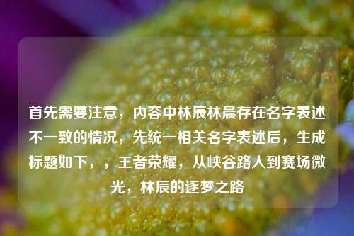 首先需要注意,内容中林辰林晨存在名字表述不一致的情况,先统一相关名字表述后,生成标题如下,,王者荣耀,从峡谷路人到赛场微光,林辰的逐梦之路