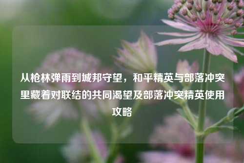 从枪林弹雨到城邦守望,和平精英与部落冲突里藏着对联结的共同渴望及部落冲突精英使用攻略