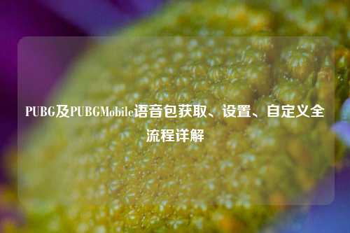 PUBG及PUBGMobile语音包获取、设置、自定义全流程详解
