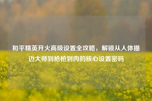 和平精英开火高级设置全攻略，解锁从人体描边大师到枪枪到肉的核心设置密码