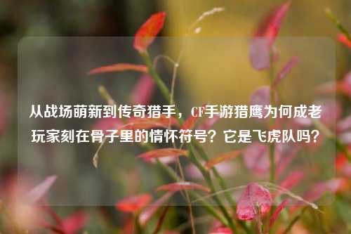从战场萌新到传奇猎手，CF手游猎鹰为何成老玩家刻在骨子里的情怀符号？它是飞虎队吗？