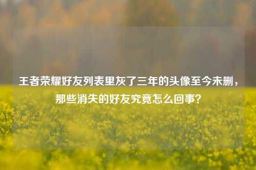 王者荣耀好友列表里灰了三年的头像至今未删,那些消失的好友究竟怎么回事?
