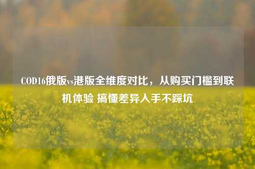 COD16俄版vs港版全维度对比，从购买门槛到联机体验 搞懂差异入手不踩坑