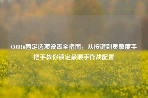 COD16固定选项设置全指南,从按键到灵敏度手把手教你锁定最顺手作战配置