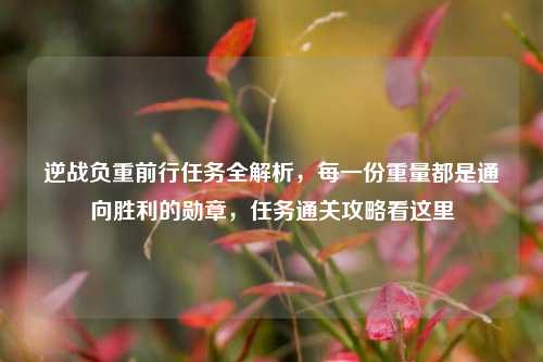 逆战负重前行任务全解析,每一份重量都是通向胜利的勋章,任务通关攻略看这里