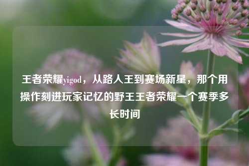 王者荣耀yigod,从路人王到赛场新星,那个用操作刻进玩家记忆的野王王者荣耀一个赛季多长时间